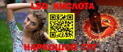 гашик Можга