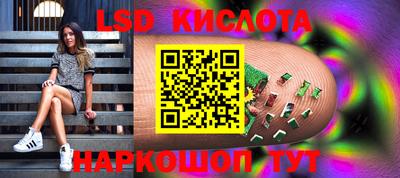 гашик Можга