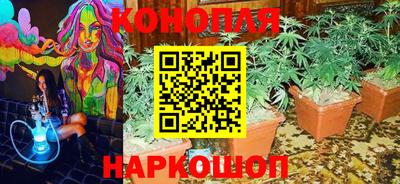 гашик Можга