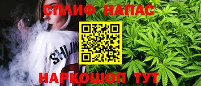 гашик Можга