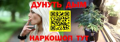 гашик Можга